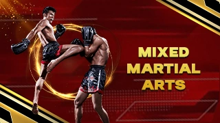 Mixed Martial Arts